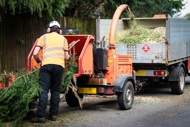 Best Artificial Turf Installation  in USA